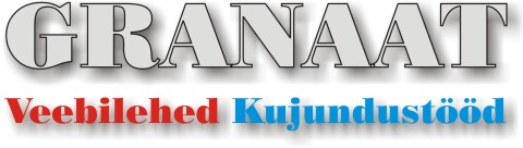 Kodulehtede valmistamine ja kujundustööd
