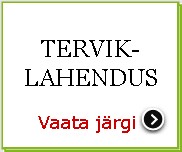 Kodulehe terviklahendus